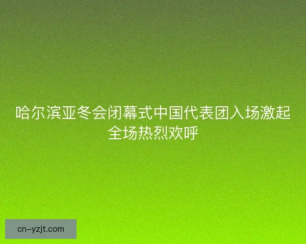 哈尔滨亚冬会闭幕式中国代表团入场激起全场热烈欢呼 哈尔滨亚冬会闭幕式中国代表团入场激起全场热烈欢呼