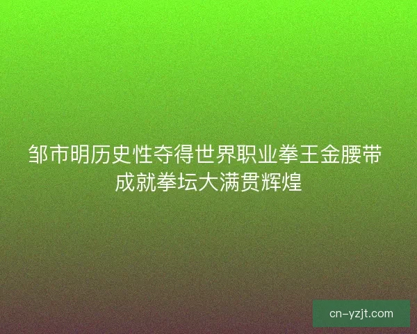 邹市明历史性夺得世界职业拳王金腰带 成就拳坛大满贯辉煌 邹市明历史性夺得世界职业拳王金腰带 成就拳坛大满贯辉煌