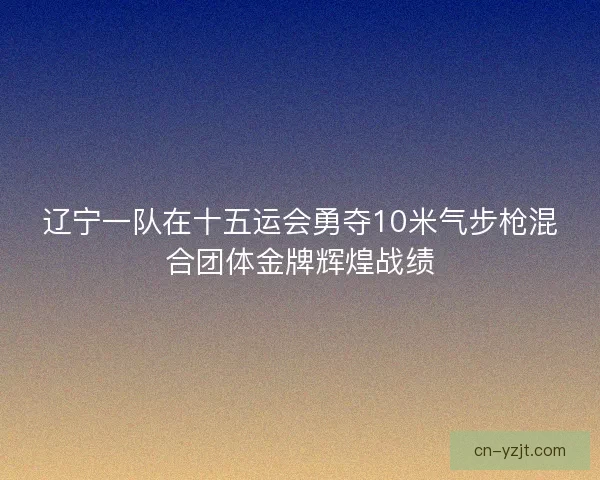 辽宁一队在十五运会勇夺10米气步枪混合团体金牌辉煌战绩