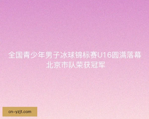 全国青少年男子冰球锦标赛U16圆满落幕 北京市队荣获冠军